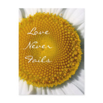 Love Never Fails Daisy 1 Corinthians 13 postcards
