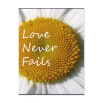 Love Never Fails Daisy 1 Corinthians 13 postcards