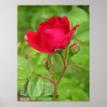 Love Never Fails Print