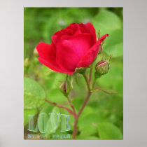 Love Never Fails posters