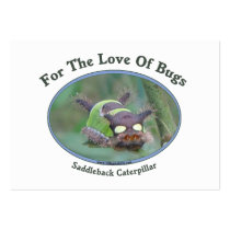 Love Of Bugs Caterpillar Business Card Template