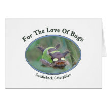 Love Of Bugs Caterpillar Cards