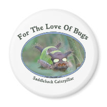Love Of Bugs Caterpillar Fridge Magnet
