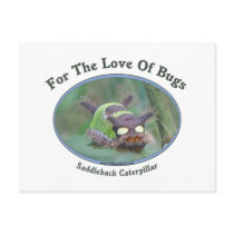 Love Of Bugs Caterpillar Post Cards
