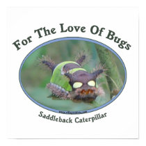 Love Of Bugs Caterpillar Poster