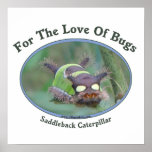 Love Of Bugs Caterpillar Poster