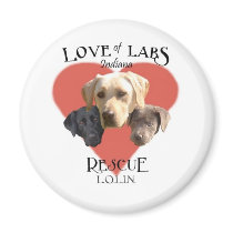Love of Labs Magnet by Lolin09 Love of Labs Magnet