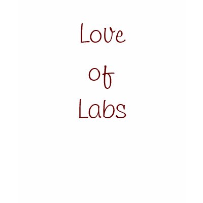 Love of Labs Shirts by Lolin09