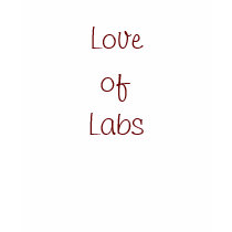 Love of Labs t-shirts