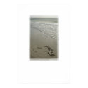 Love on the Beach Poster Print [with White Space]