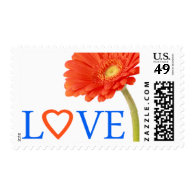Love Orange Gerberas Daisy | Gerber Daisy Stamp