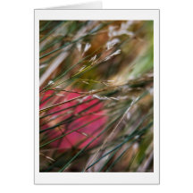 love outdoors cards