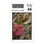love outdoors stamp