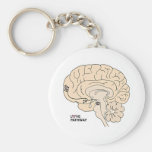 Love Pathway: Love in the Brain Keychains