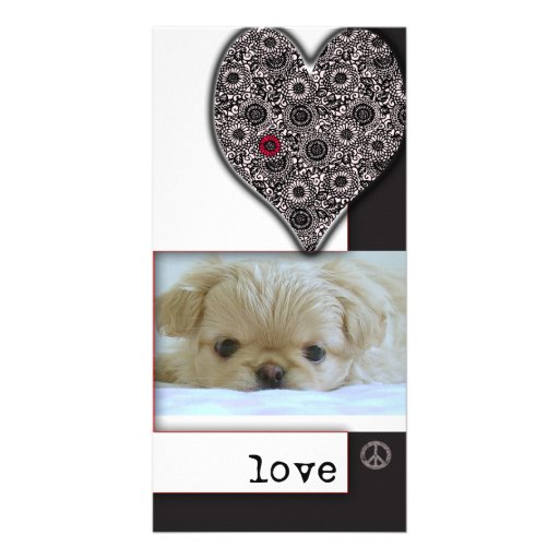 Love, peace and dogs photo cards