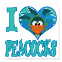 love peacocks posters
