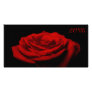 Love petals - Red rose Personalized Photo Card