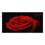 Love petals - Red rose Personalized Photo Card
