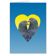 Love Pigeons Card