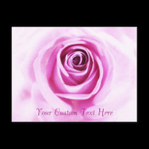Love Pink Rose Custom text Postcard postcards