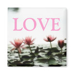 LOVE - pink waterlilies magnet