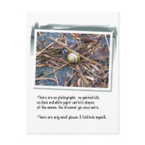 Love Poem and Snail postcards by orsobear Love Poem and Snail postcards
