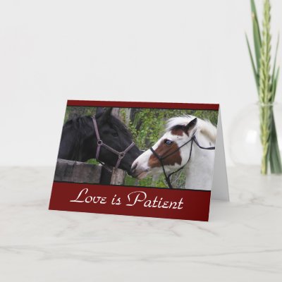 love poems cards. Love Poem Cards by WesternWeddings. Photo of blue eyed horses with the