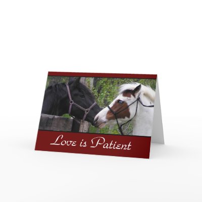 love poems cards. Love Poem Cards by WesternWeddings. Photo of blue eyed horses with the