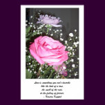 Love Poem - Rose