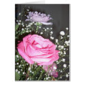 Love Poem - roses cards