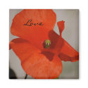 Love Poppy Magnet by pulsDesign Love Poppy Magnet