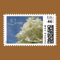 Love postage