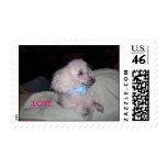 LOVE STAMP