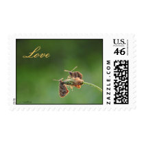 Love postage by Rainmountain Love postage