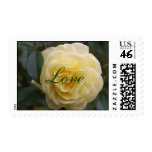 Love Stamp