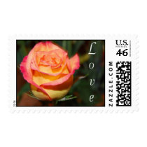 Love Stamps