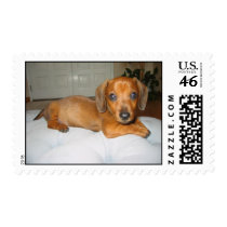 Love postage by lt95135 Love postage