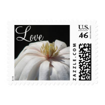 Love postage