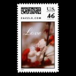 Love Postage stamps