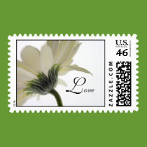 Love Postage Stamp