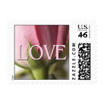 pink rose love postage stamps
