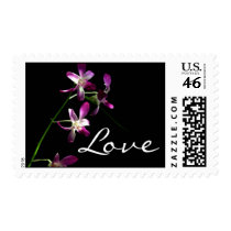 Love Postage Stamps ~ gorgeous orchids