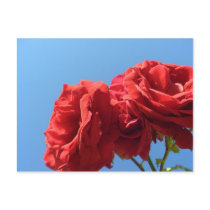 Love postcards