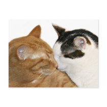 Love postcards by deemac1 Love postcards
