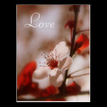 Love postcards