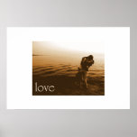 Love posters
