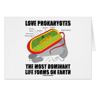 Love Prokaryotes Most Dominant Life Forms On Earth Card