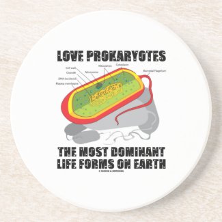 Love Prokaryotes Most Dominant Life Forms On Earth Coaster