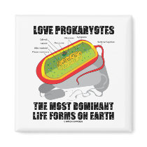 Love Prokaryotes Most Dominant Life Forms On Earth magnets by wordsunwords Love Prokaryotes Most Dominant Life Forms On Earth magnets