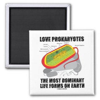 Love Prokaryotes Most Dominant Life Forms On Earth Refrigerator Magnets